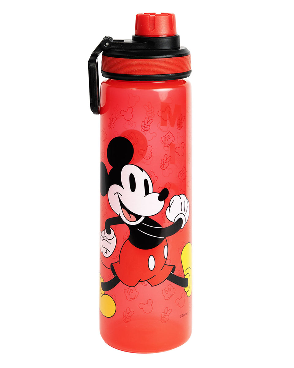 Botella C/Tapa Botón 650 ml