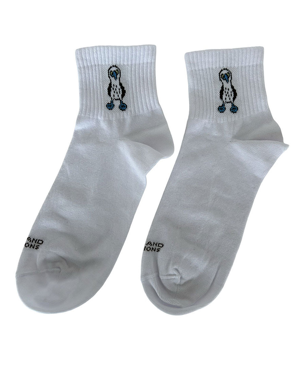 Media Zapatilla Regions sin Costura