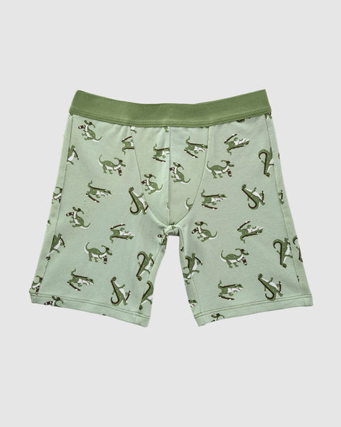 Paquete x2 bóxer largo para niño#color_s11-verde-militar-verde-estampado-dinosaurio