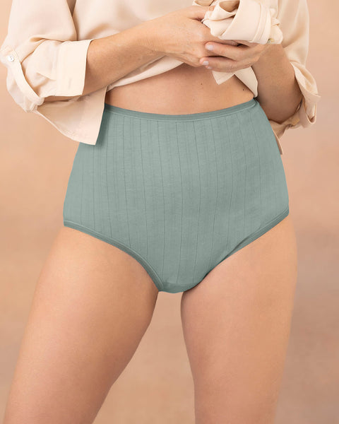 Paquete x 3 panties clásicos con excelente cubrimiento#color_s20-mandarina-gris-verdoso-cafe-claro